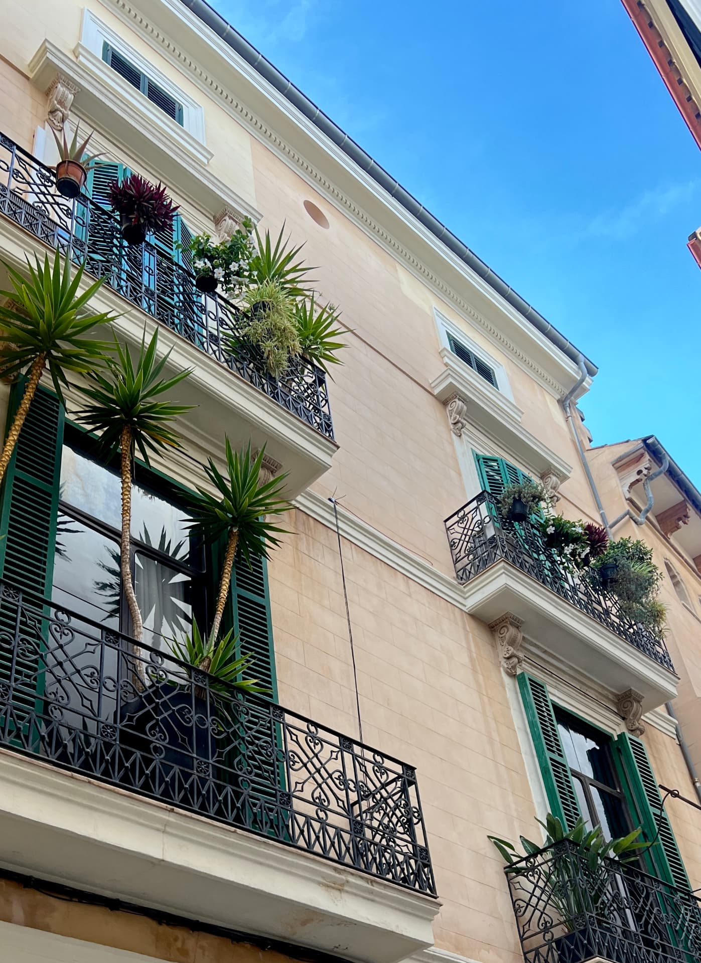 Wrought-iron balconies with palms and flowers against a blue Mallorcan sky