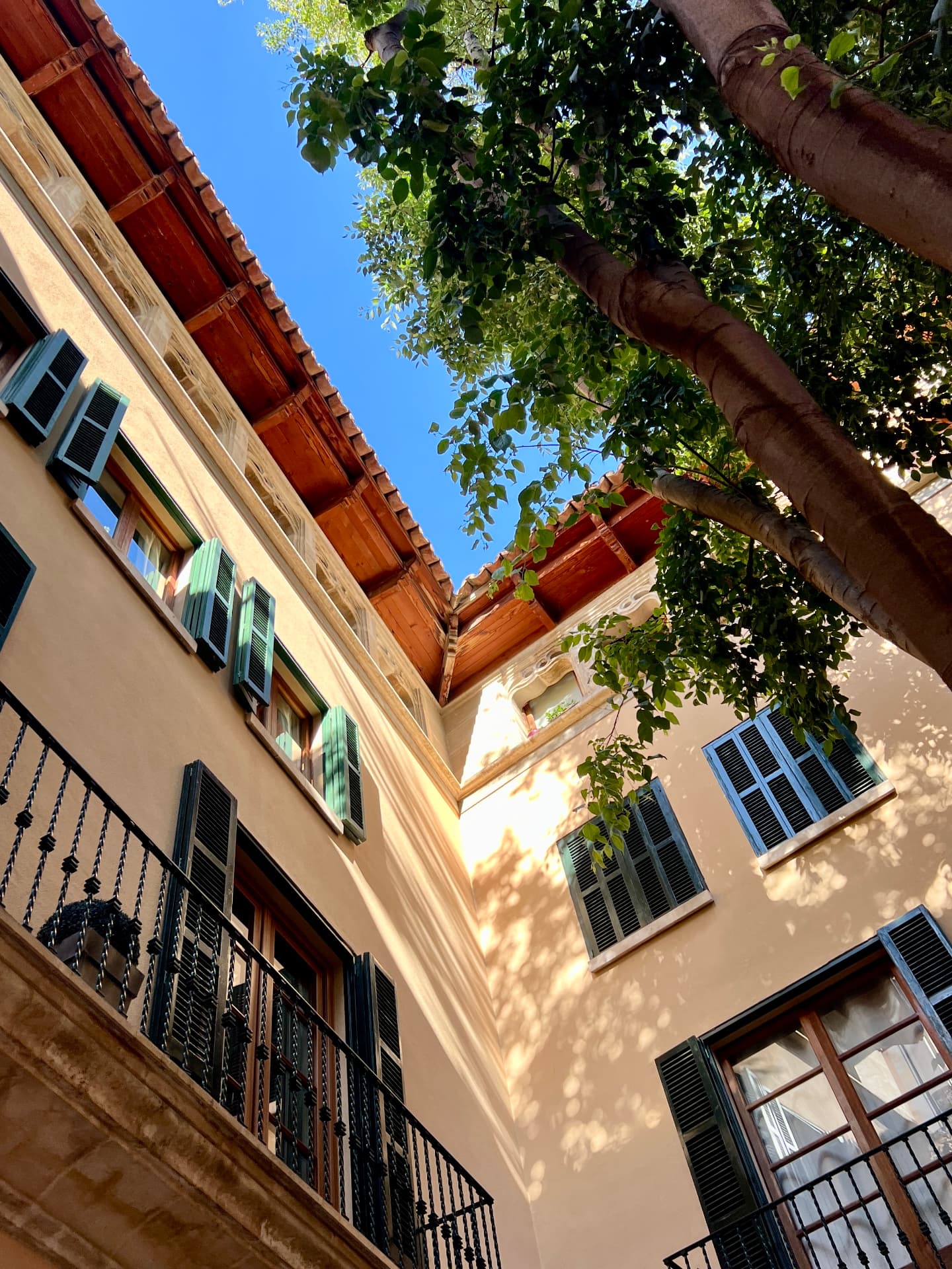 Looking up at a sunlit courtyard of stone facades, shutters, and a fig tree