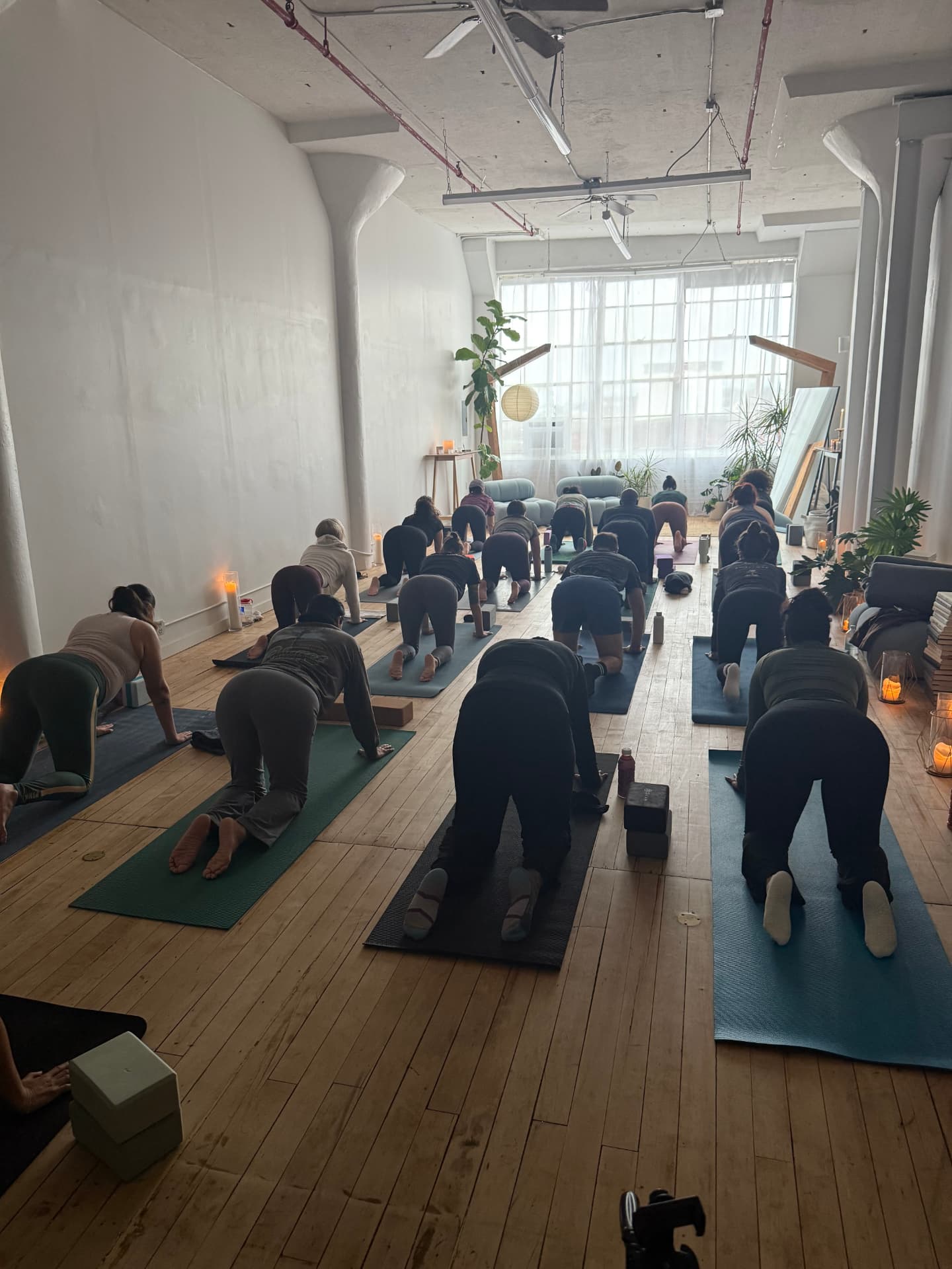 A full class of members in a low stretch on mats across the studio floor