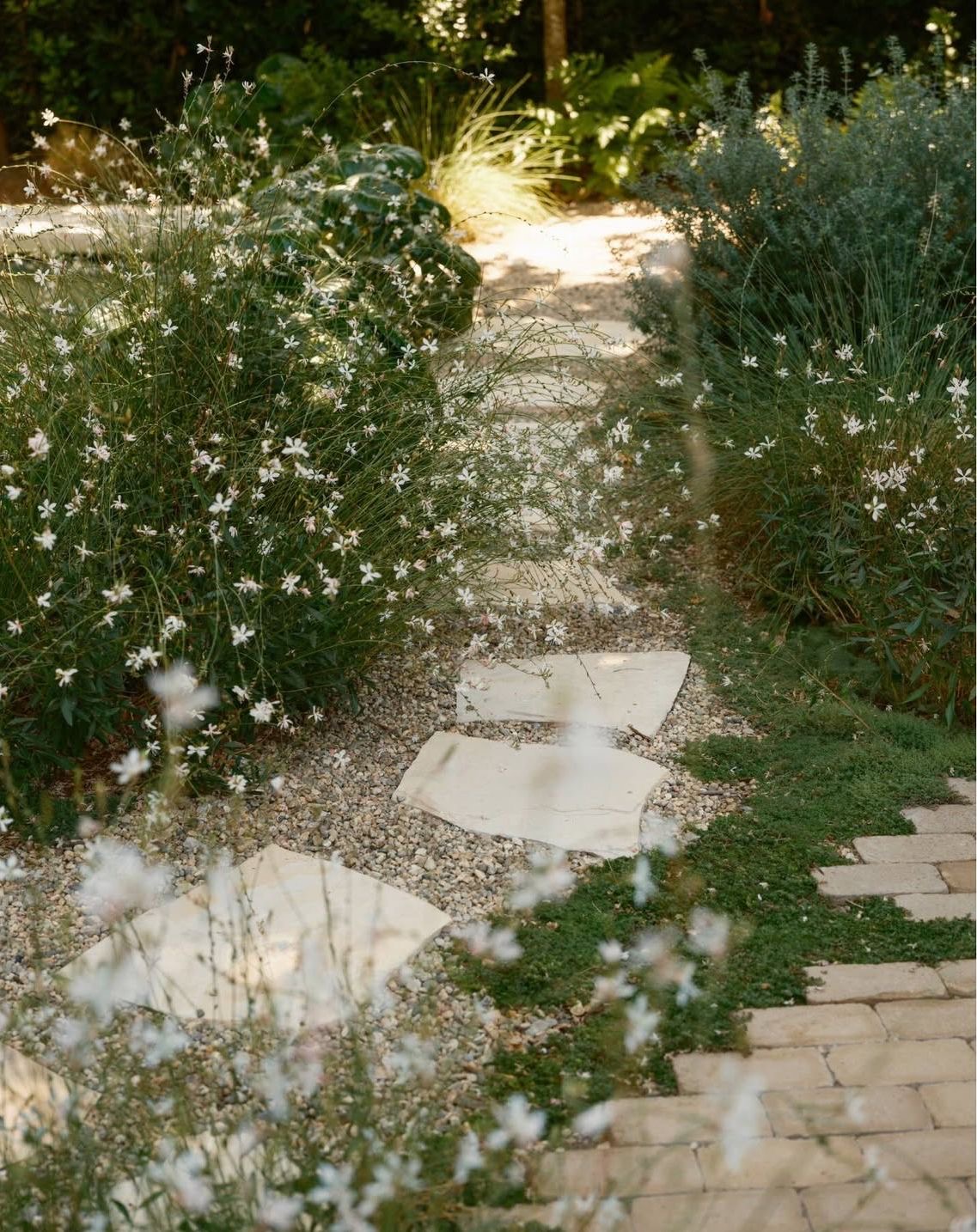 A stone walkway winding through a garden of tall grasses and white flowers