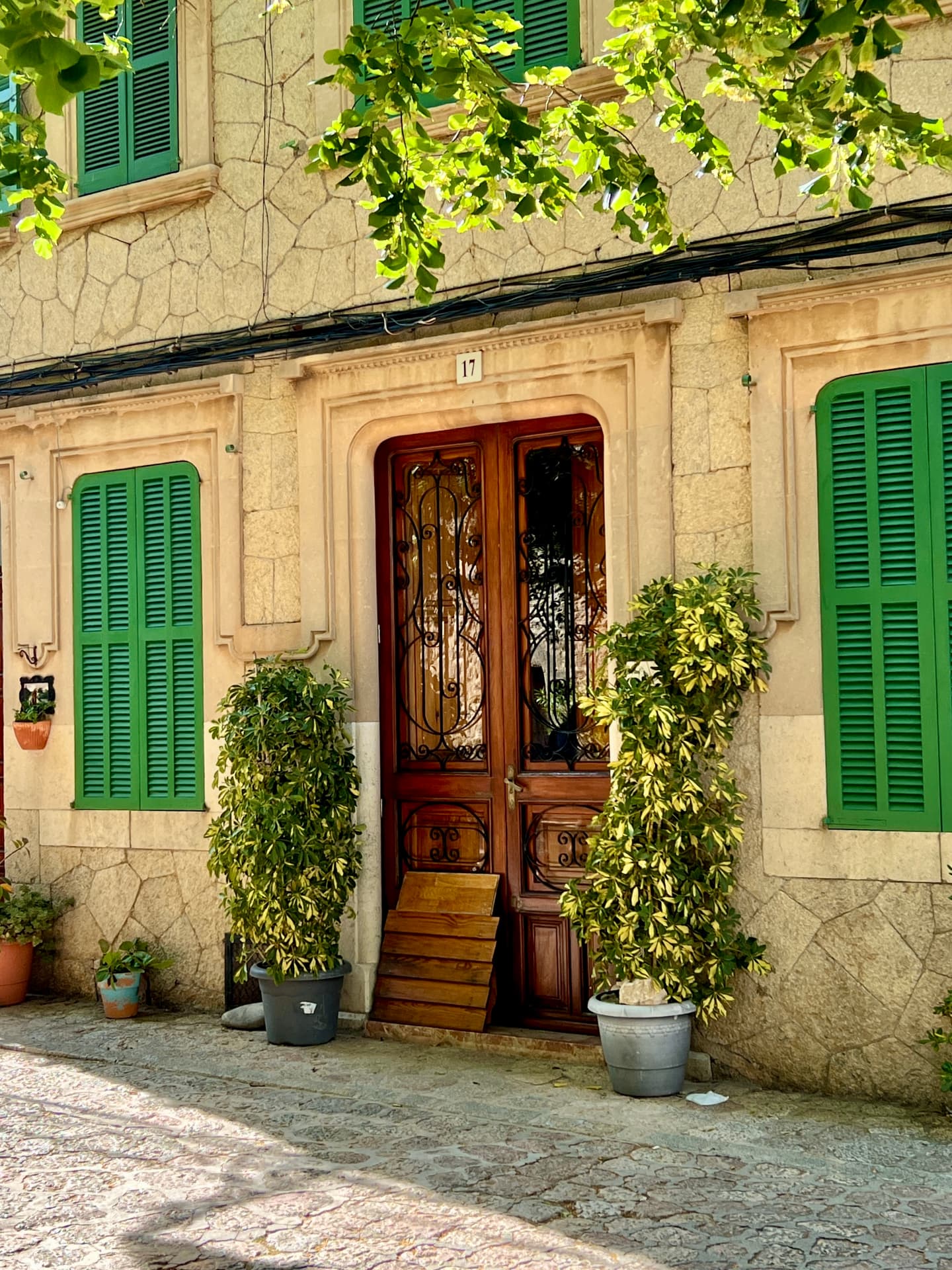 A carved wooden door with green shutters and potted plants on a Mallorcan street