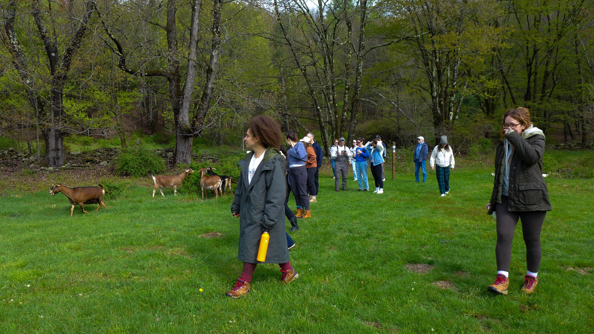 Catskills, New York, 2025
